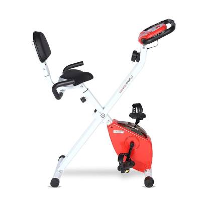 FITNESS WORLD workout Bike for Home